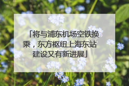 将与浦东机场空铁换乘，东方枢纽上海东站建设又有新进展