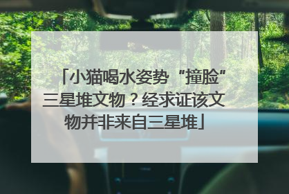小猫喝水姿势“撞脸”三星堆文物？经求证该文物并非来自三星堆