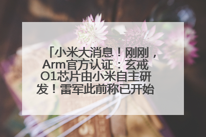 小米大消息！刚刚，Arm官方认证：玄戒O1芯片由小米自主研发！雷军此前称已开始大规模量产