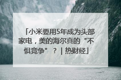 小米要用5年成为头部家电，美的海尔真的“不惧竞争”？｜热财经