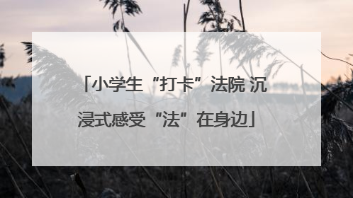 小学生“打卡”法院 沉浸式感受“法”在身边