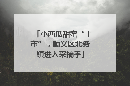 小西瓜甜蜜“上市”，顺义区北务镇进入采摘季