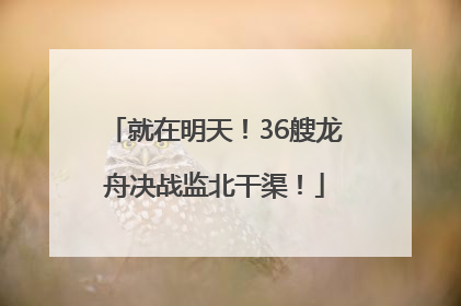 就在明天！36艘龙舟决战监北干渠！