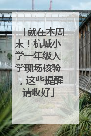 就在本周末！杭城小学一年级入学现场核验，这些提醒请收好