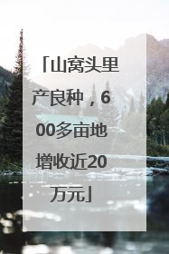 山窝头里产良种，600多亩地增收近20万元