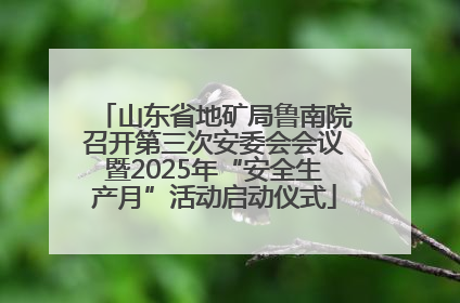 山东省地矿局鲁南院召开第三次安委会会议暨2025年“安全生产月”活动启动仪式