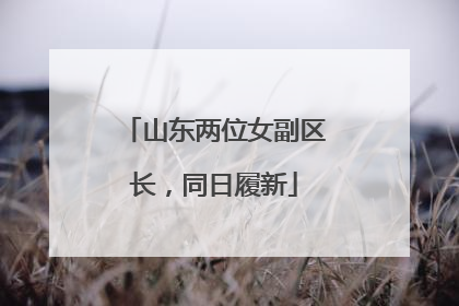 山东两位女副区长，同日履新