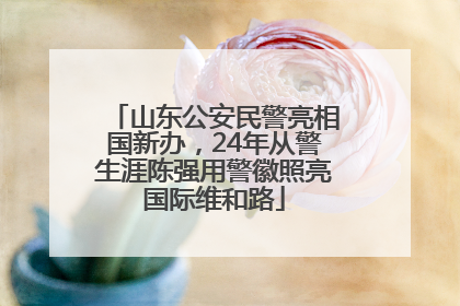 山东公安民警亮相国新办，24年从警生涯陈强用警徽照亮国际维和路