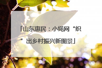 山东惠民：小绳网“织”出乡村振兴新图景
