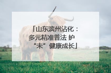 山东滨州沾化：多元精准普法 护“未”健康成长