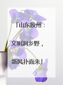 山东胶州：文明润乡野，新风扑面来