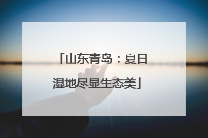 山东青岛：夏日湿地尽显生态美