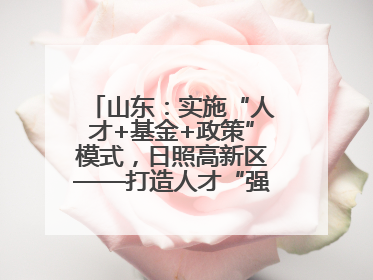 山东：实施“人才+基金+政策”模式，日照高新区——打造人才“强磁场”