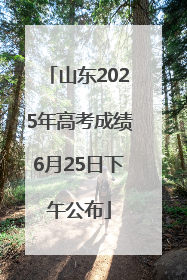 山东2025年高考成绩6月25日下午公布