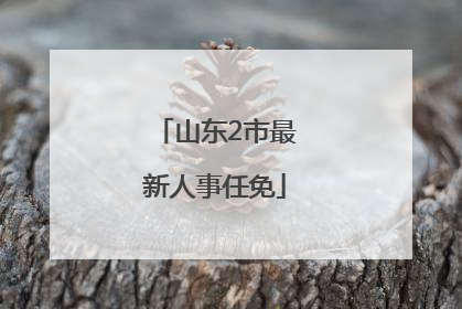 山东2市最新人事任免