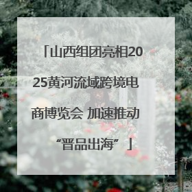 山西组团亮相2025黄河流域跨境电商博览会 加速推动“晋品出海”