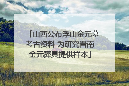 山西公布浮山金元墓考古资料 为研究晋南金元葬具提供样本