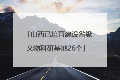 山西已培育建设省级文物科研基地26个