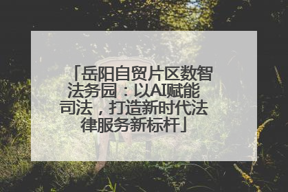 岳阳自贸片区数智法务园：以AI赋能司法，打造新时代法律服务新标杆