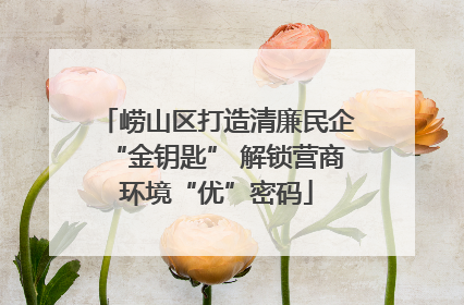崂山区打造清廉民企“金钥匙” 解锁营商环境“优”密码