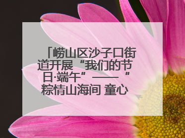 崂山区沙子口街道开展“我们的节日·端午”——“粽情山海间 童心乘风浪”文明实践活动