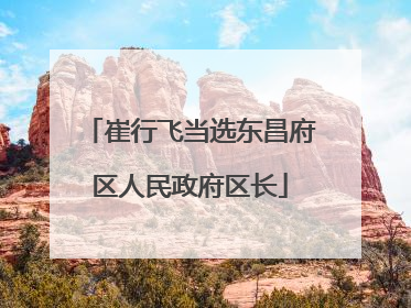 崔行飞当选东昌府区人民政府区长