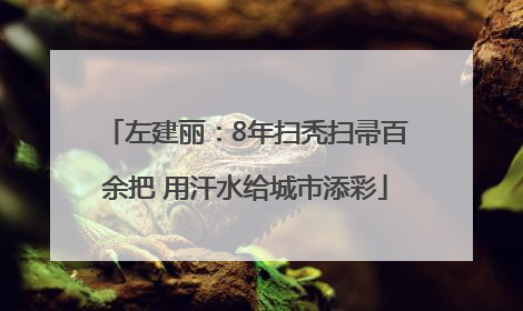 左建丽：8年扫秃扫帚百余把 用汗水给城市添彩