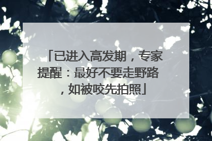 已进入高发期，专家提醒：最好不要走野路，如被咬先拍照