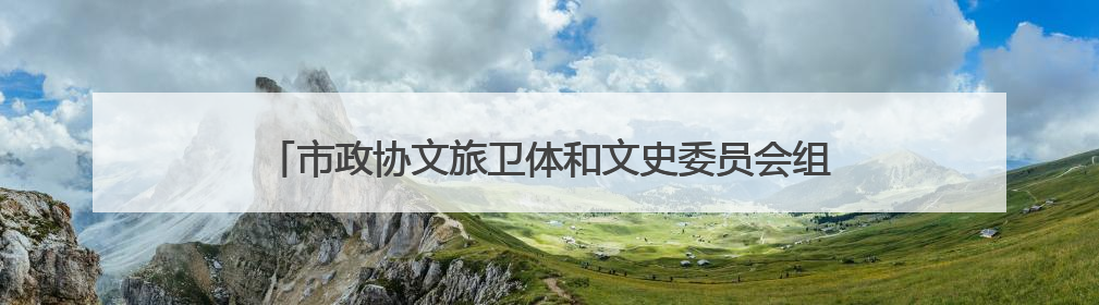 市政协文旅卫体和文史委员会组织开展提案督促办理协商活动