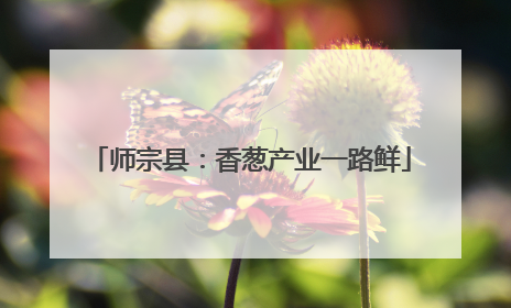 师宗县：香葱产业一路鲜