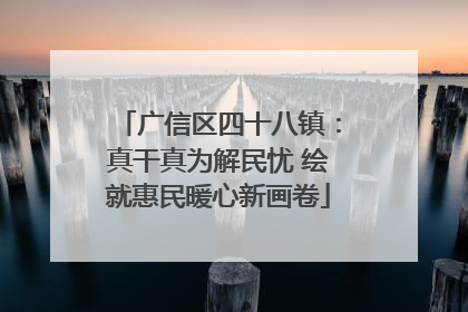 广信区四十八镇：真干真为解民忧 绘就惠民暖心新画卷