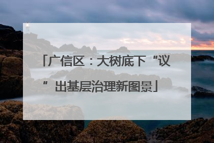 广信区：大树底下“议”出基层治理新图景