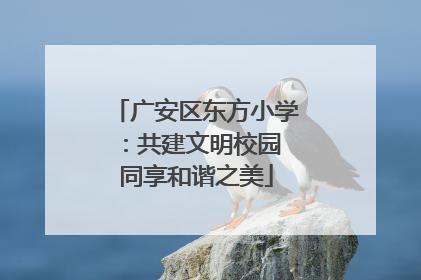广安区东方小学：共建文明校园 同享和谐之美