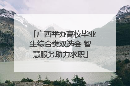 广西举办高校毕业生综合类双选会 智慧服务助力求职