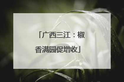 广西三江：椒香满园促增收