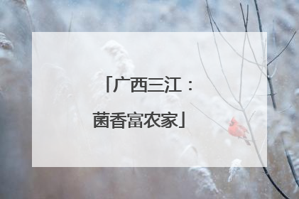 广西三江：菌香富农家