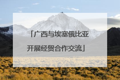 广西与埃塞俄比亚开展经贸合作交流