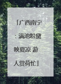 广西南宁：满池粉黛映夏凉 游人赏荷忙