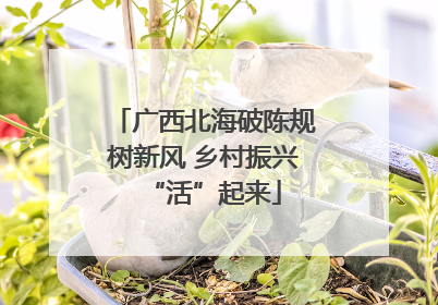 广西北海破陈规树新风 乡村振兴“活”起来