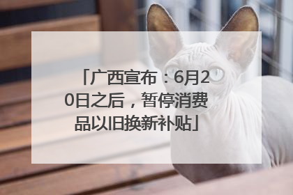 广西宣布：6月20日之后，暂停消费品以旧换新补贴