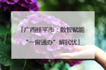 广西桂平市：数智赋能“一窗通办”解民忧