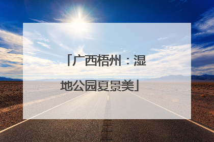 广西梧州：湿地公园夏景美
