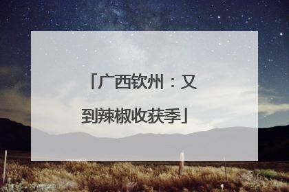 广西钦州：又到辣椒收获季