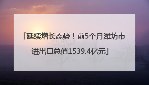 延续增长态势！前5个月潍坊市进出口总值1539.4亿元