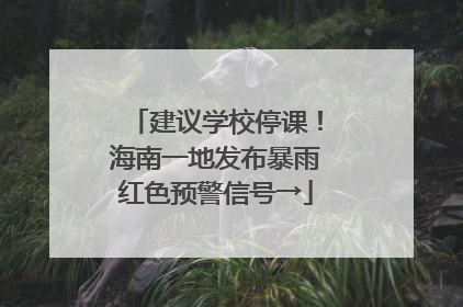 建议学校停课！海南一地发布暴雨红色预警信号→