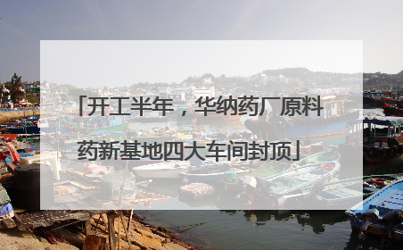开工半年，华纳药厂原料药新基地四大车间封顶