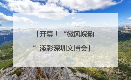 开幕！“徽风皖韵”添彩深圳文博会