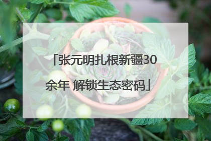 张元明扎根新疆30余年 解锁生态密码