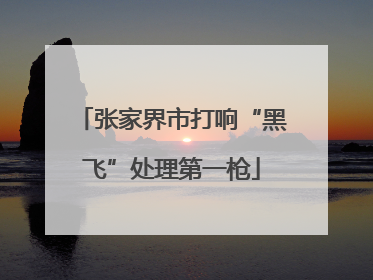 张家界市打响“黑飞”处理第一枪