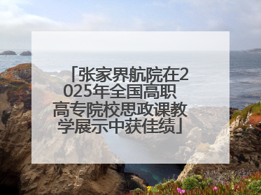 张家界航院在2025年全国高职高专院校思政课教学展示中获佳绩